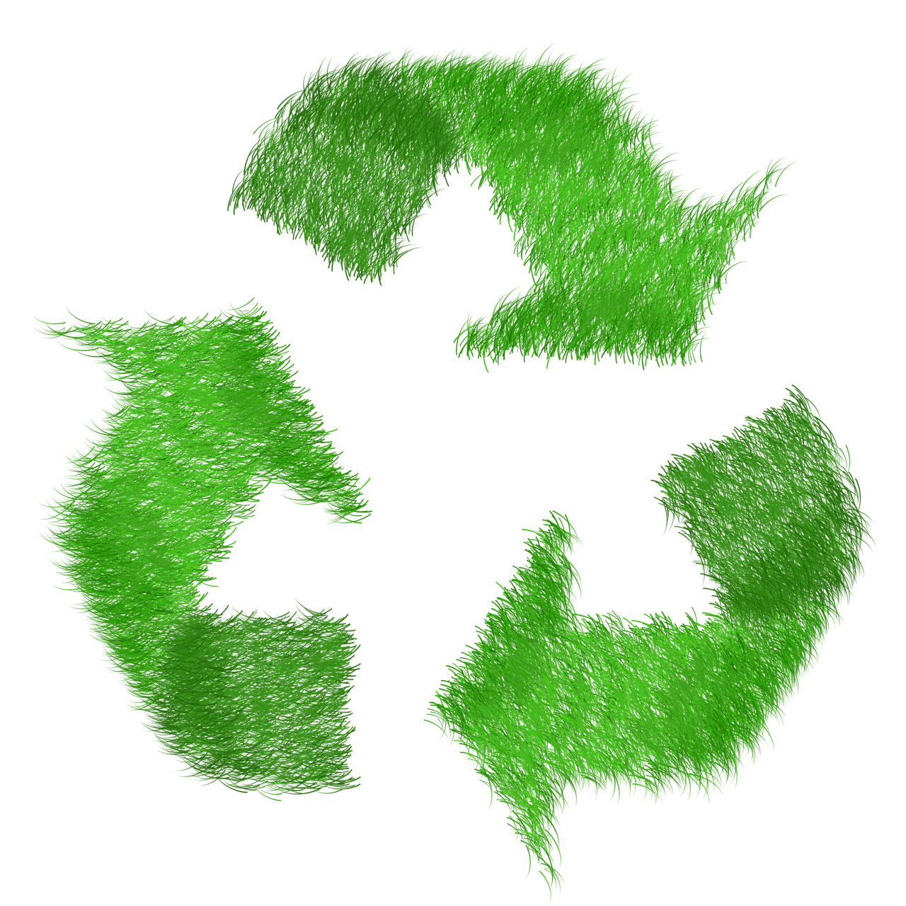 green, grass, lawn-1968596.jpg